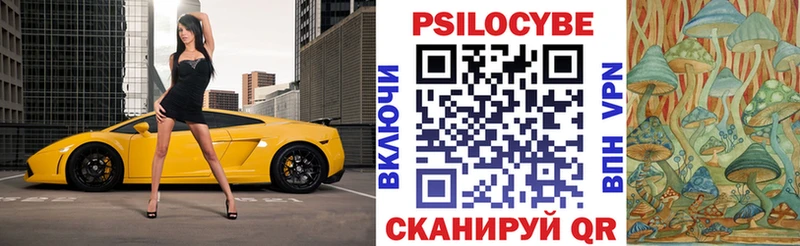 Псилоцибиновые грибы мицелий  Купить  Белокуриха 